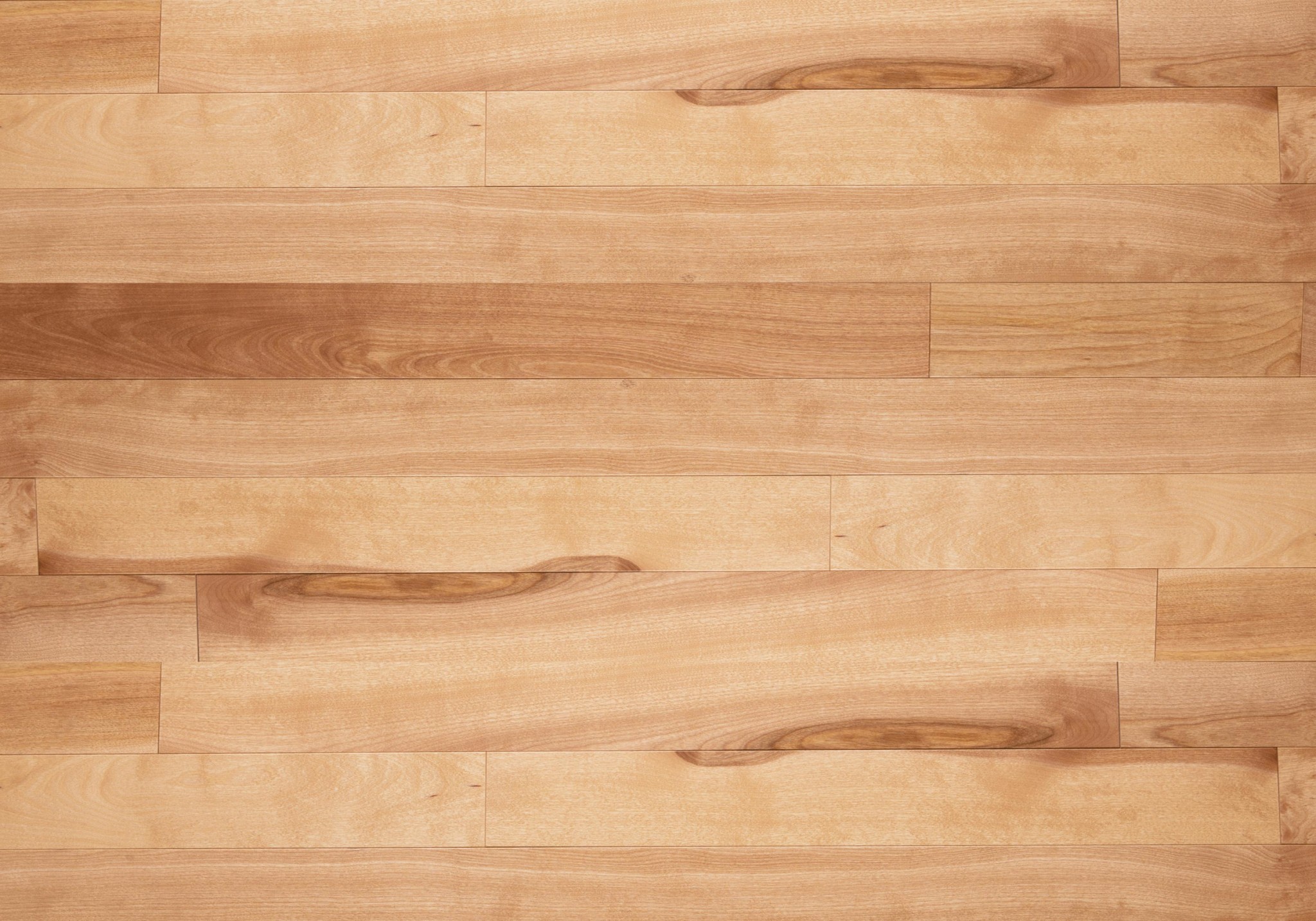 Lauzon Select Natural Birch