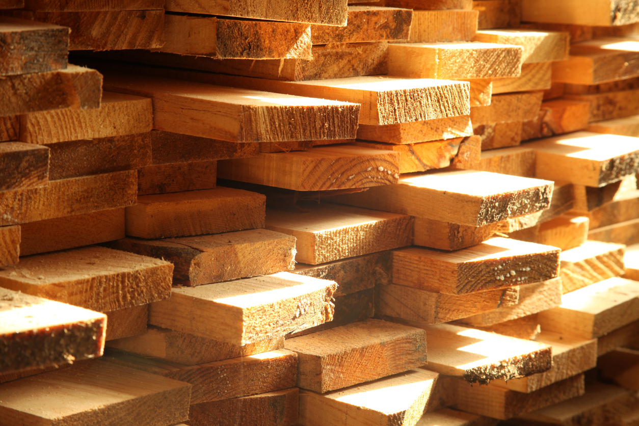 Hardwood vs Softwood: What is the difference?